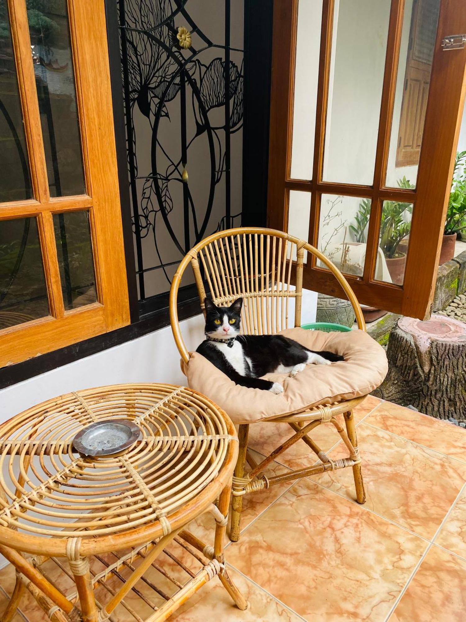 Zzz Albergue Banyuwangi  Exterior foto